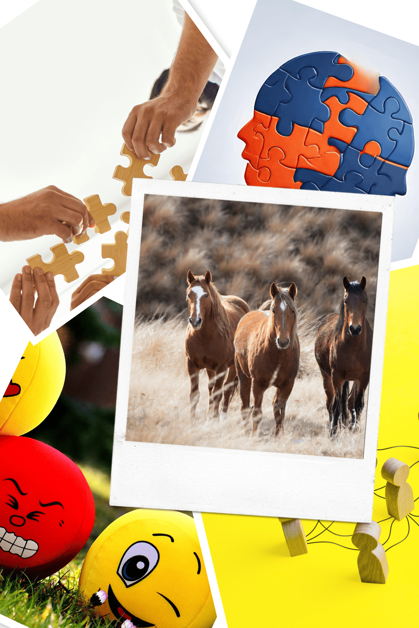 equicoaching et intelligence relationnelle